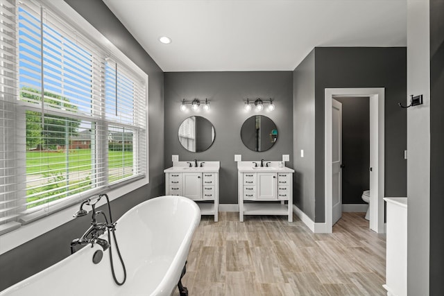 bathroom featuring vanity, plenty of natural light, a bathtub, and toilet