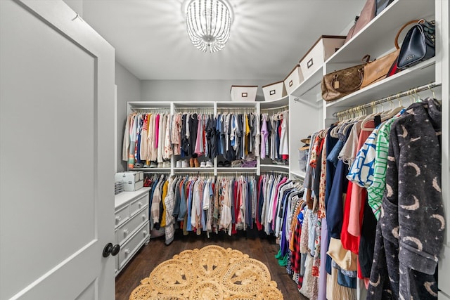 walk in closet featuring dark wood-type flooring