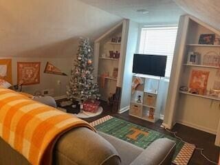 2115 Eastview Ave, Jefferson City, TN 37760 - living room featuring vaulted ceiling