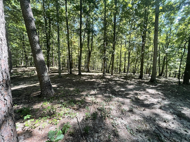 Listing photo 2 for 11.6ACRES Video Way, Newport TN 37821