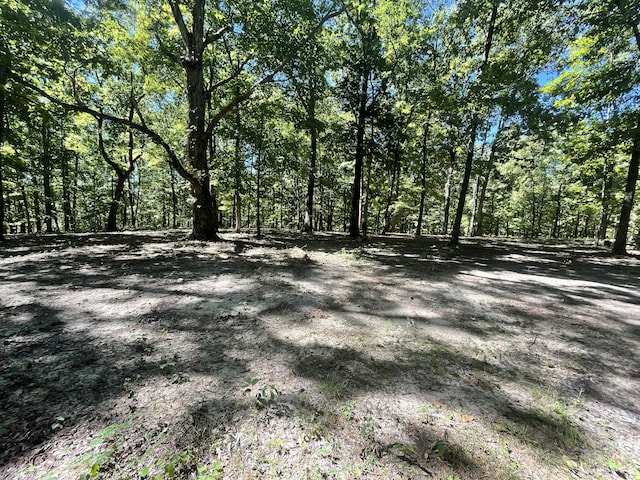 11.6ACRES Video Way, Newport TN, 37821 land for sale