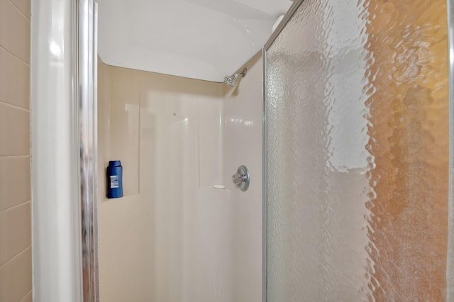 bathroom with a shower with shower door