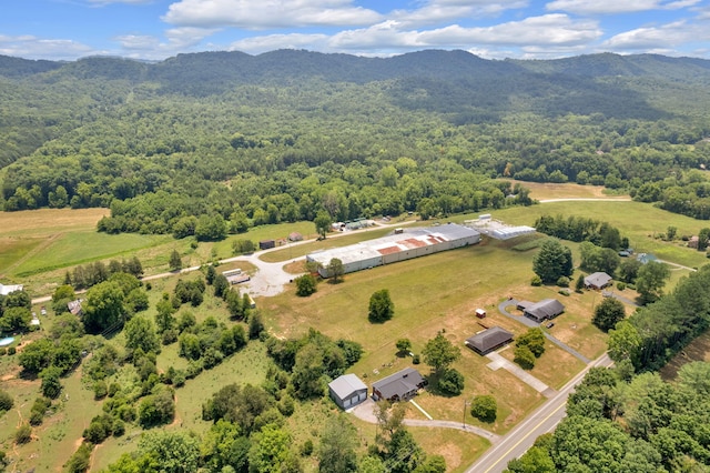 birds eye view of property with a mountain view