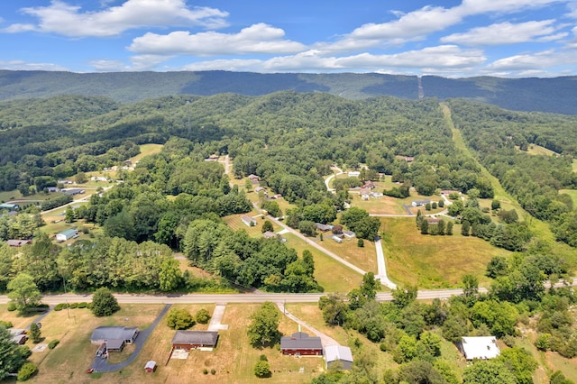 birds eye view of property featuring a mountain view