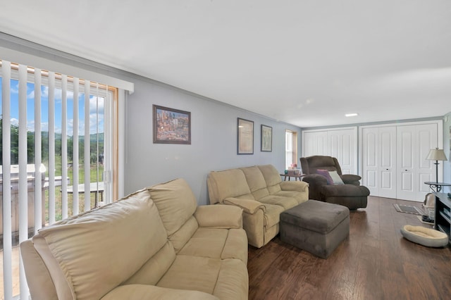 living room with dark hardwood / wood-style flooring