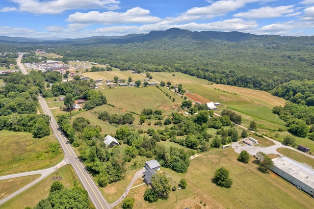 birds eye view of property with a mountain view