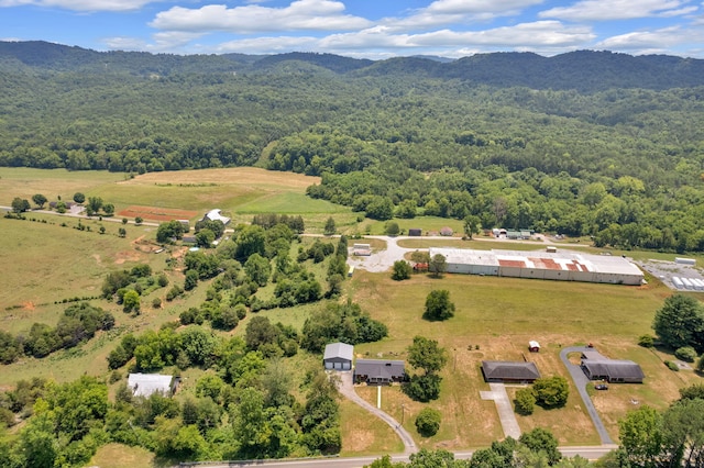 bird's eye view with a mountain view