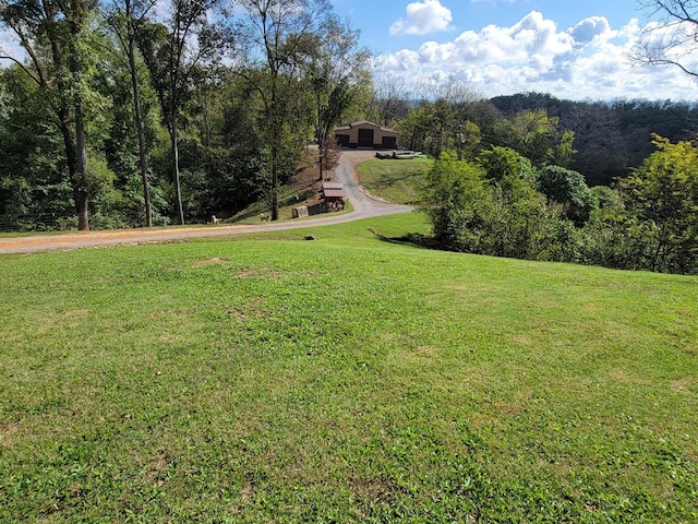 view of yard