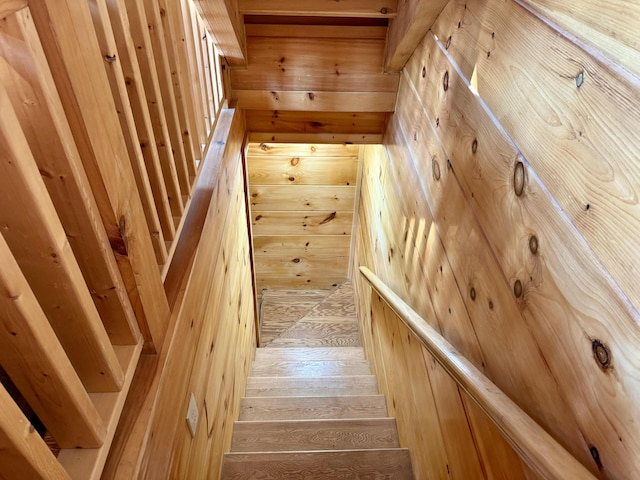 stairs featuring wood-type flooring and wood walls