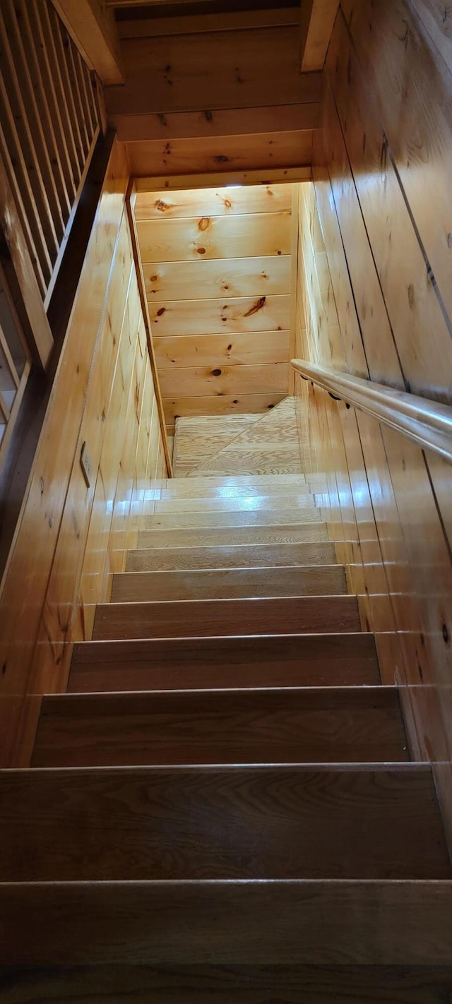 stairs featuring wooden walls