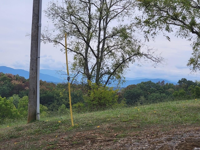 exterior space featuring a mountain view