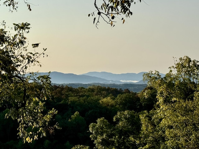 view of mountain feature