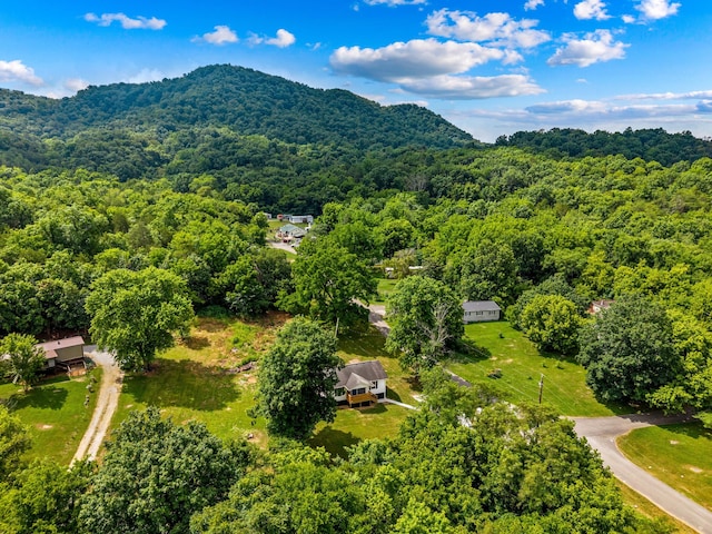126 Double Cave Rd, Rutledge, TN 37861 - aerial view of a forest and mountains