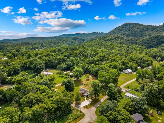 126 Double Cave Rd, Rutledge, TN 37861 - aerial view of a mountainous background