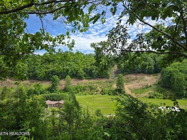 4427 Main St, Sneedville, TN 37869 - photo 6