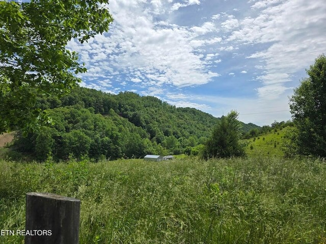 4427 Main St, Sneedville, TN 37869 - photo 30