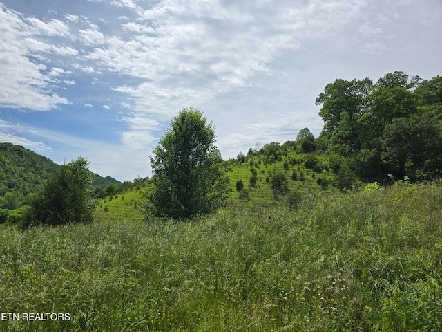 4427 Main St, Sneedville, TN 37869 - photo 29
