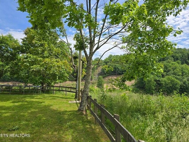 4427 Main St, Sneedville, TN 37869 - photo 7