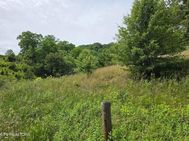 4427 Main St, Sneedville, TN 37869 - photo 8