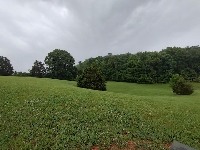 LOT65 Cow Poke Ln, Rutledge TN, 37861 land for sale