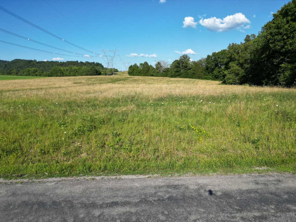 1 Bailey St, Greeneville, TN 37745 - photo 1