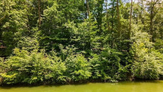 811 Harrison Ferry Rd, White Pine, TN 37890 - photo 20