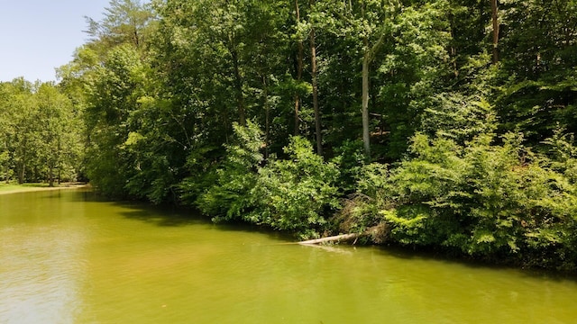 811 Harrison Ferry Rd, White Pine, TN 37890 - photo 2