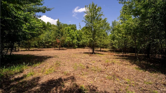 811 Harrison Ferry Rd, White Pine, TN 37890 - photo 6