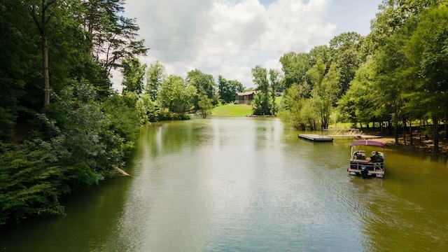 811 Harrison Ferry Rd, White Pine, TN 37890 - photo 1