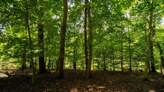 811 Harrison Ferry Rd, White Pine, TN 37890 - photo 13