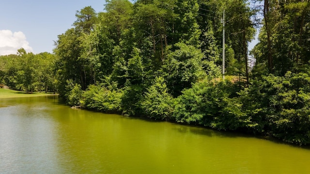 811 Harrison Ferry Rd, White Pine, TN 37890 - photo 3