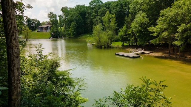 811 Harrison Ferry Rd, White Pine, TN 37890 - photo 21