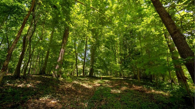 811 Harrison Ferry Rd, White Pine, TN 37890 - photo 11