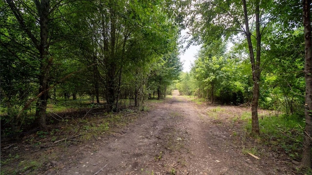 811 Harrison Ferry Rd, White Pine, TN 37890 - photo 7