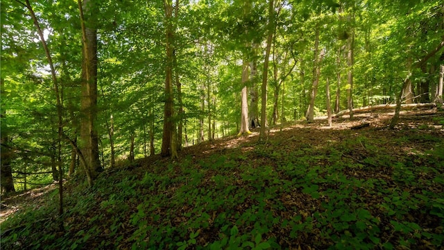 811 Harrison Ferry Rd, White Pine, TN 37890 - photo 14