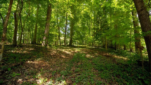 811 Harrison Ferry Rd, White Pine, TN 37890 - photo 10