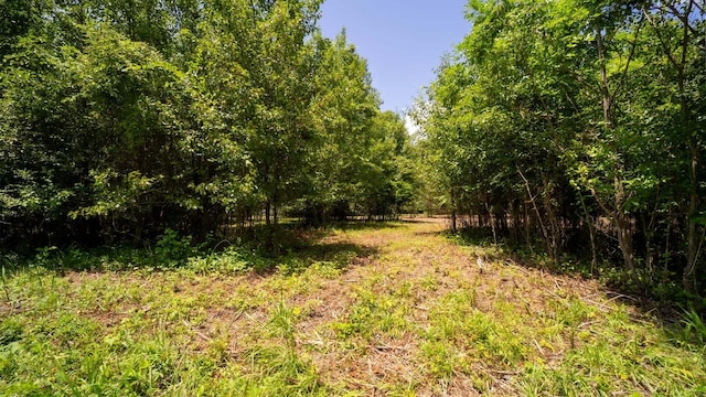 811 Harrison Ferry Rd, White Pine, TN 37890 - photo 5