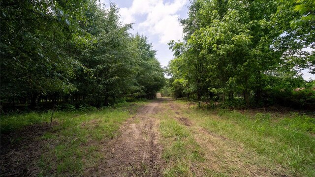 811 Harrison Ferry Rd, White Pine, TN 37890 - photo 8