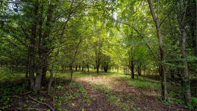 811 Harrison Ferry Rd, White Pine, TN 37890 - photo 9