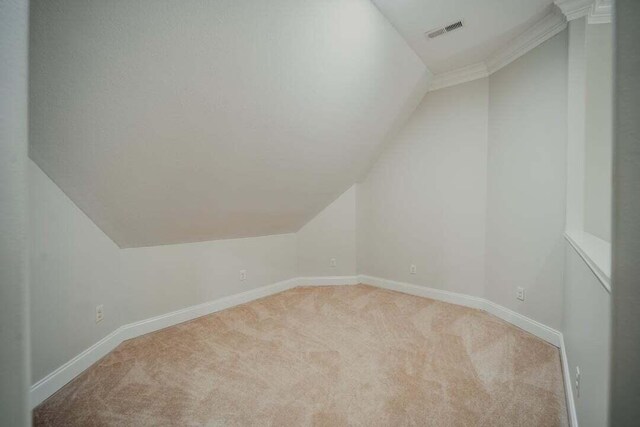 118 Luxury Ln, Dandridge, TN 37725 - additional living space featuring vaulted ceiling, light colored carpet, and baseboards