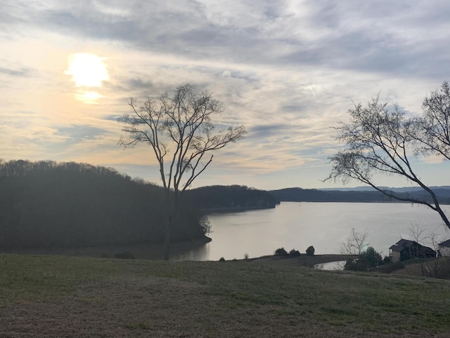 6276 Outlook Trl, Russellville, TN 37860 - photo 13
