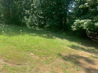 6276 Outlook Trl, Russellville, TN 37860 - photo 2