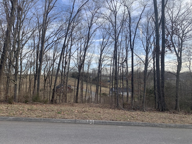 6276 Outlook Trl, Russellville, TN 37860
