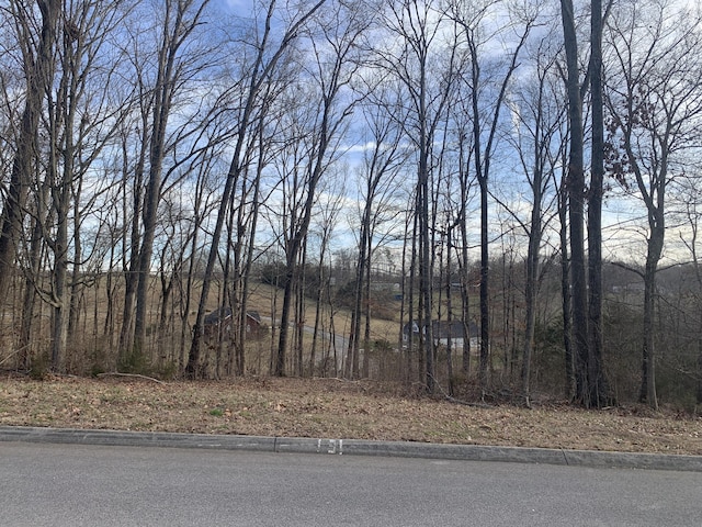 6276 Outlook Trl, Russellville TN, 37860 land for sale