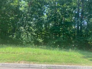 6276 Outlook Trl, Russellville, TN 37860 - photo 1