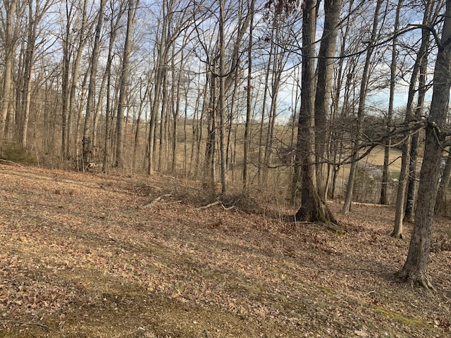 Listing photo 3 for 6276 Outlook Trl, Russellville TN 37860