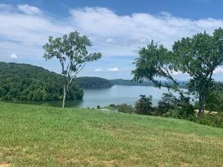 6276 Outlook Trl, Russellville, TN 37860 - photo 3