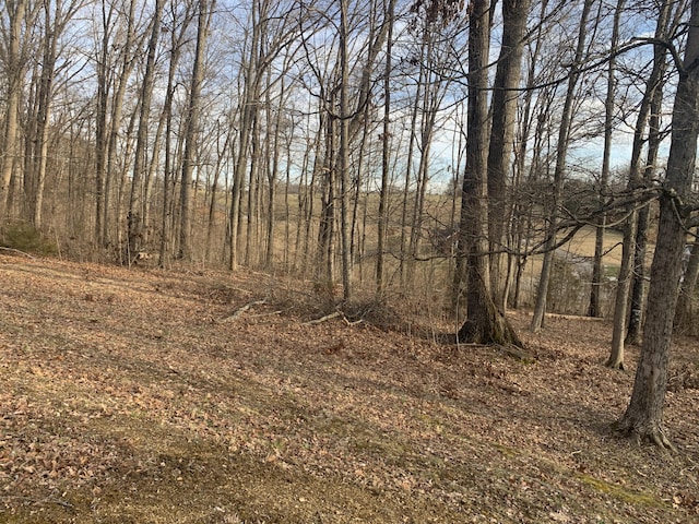 6276 Outlook Trl, Russellville, TN 37860 - photo 7