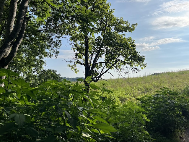 378-F Rocky Top Rd, Newport, TN 37821