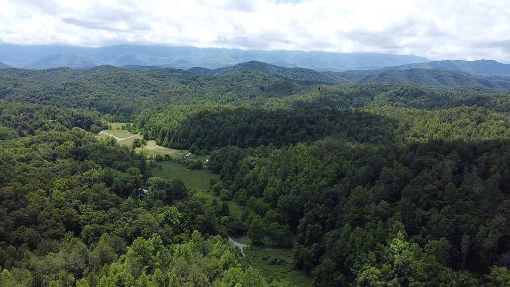 3406 Bogard Rd, Cosby, TN 37722
